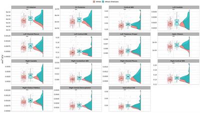 Brain morphological variability between whites and African Americans: the importance of racial identity in brain imaging research